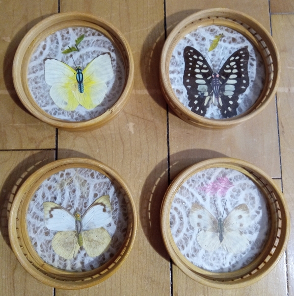 Vintage Decorative Bamboo and Rattan Pressed Butterfly Coasters Set of 4 - Picture 1 of 7